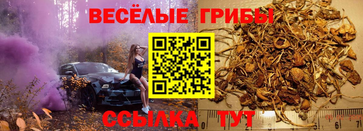Нефтекумск  Псилоцибиновые грибы Magic Shrooms  Вход с VPN 